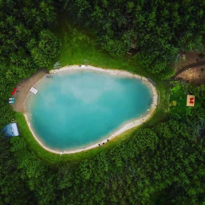 A Rustic Cabin In The Woods Orangeville Ngoại thất bức ảnh